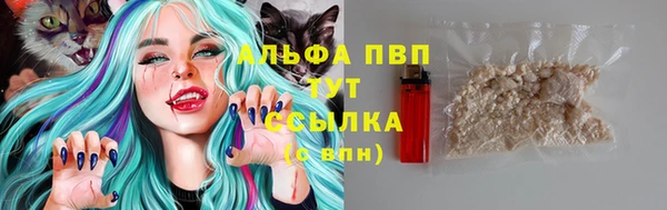 ешки Алексин