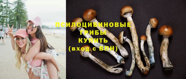 ешки Алексин