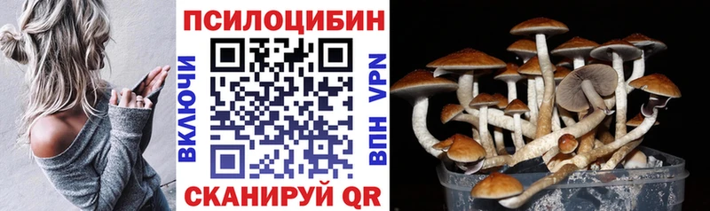цена наркотик  Большой Камень  Галлюциногенные грибы Psilocybe 