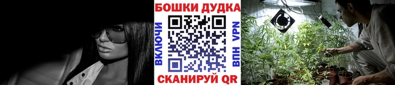 Марихуана семена  Большой Камень 